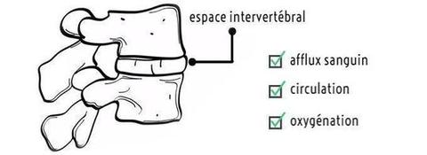 cervelax intervertébral